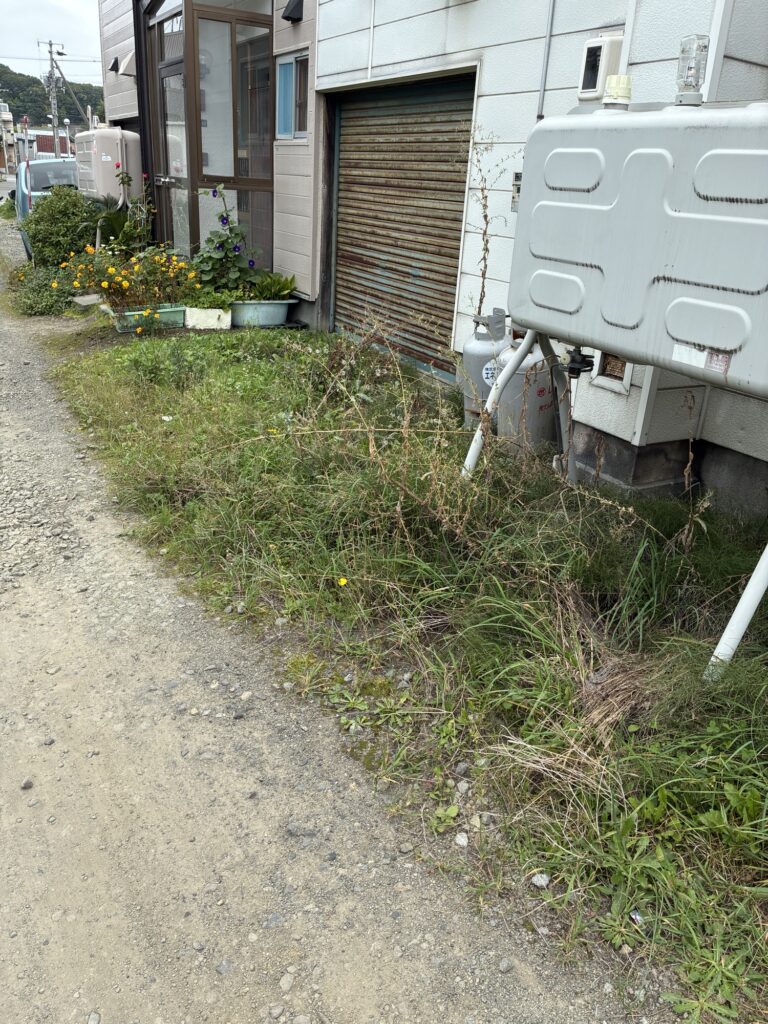 札幌市南区の建物まわりに雑草が生い茂っている草刈り・草むしり前の様子